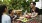 people buying fruits at an outdoor market